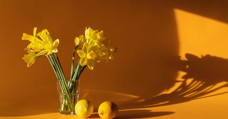 Investir dans une imprimante pour faire-part maison : est-ce rentable ?